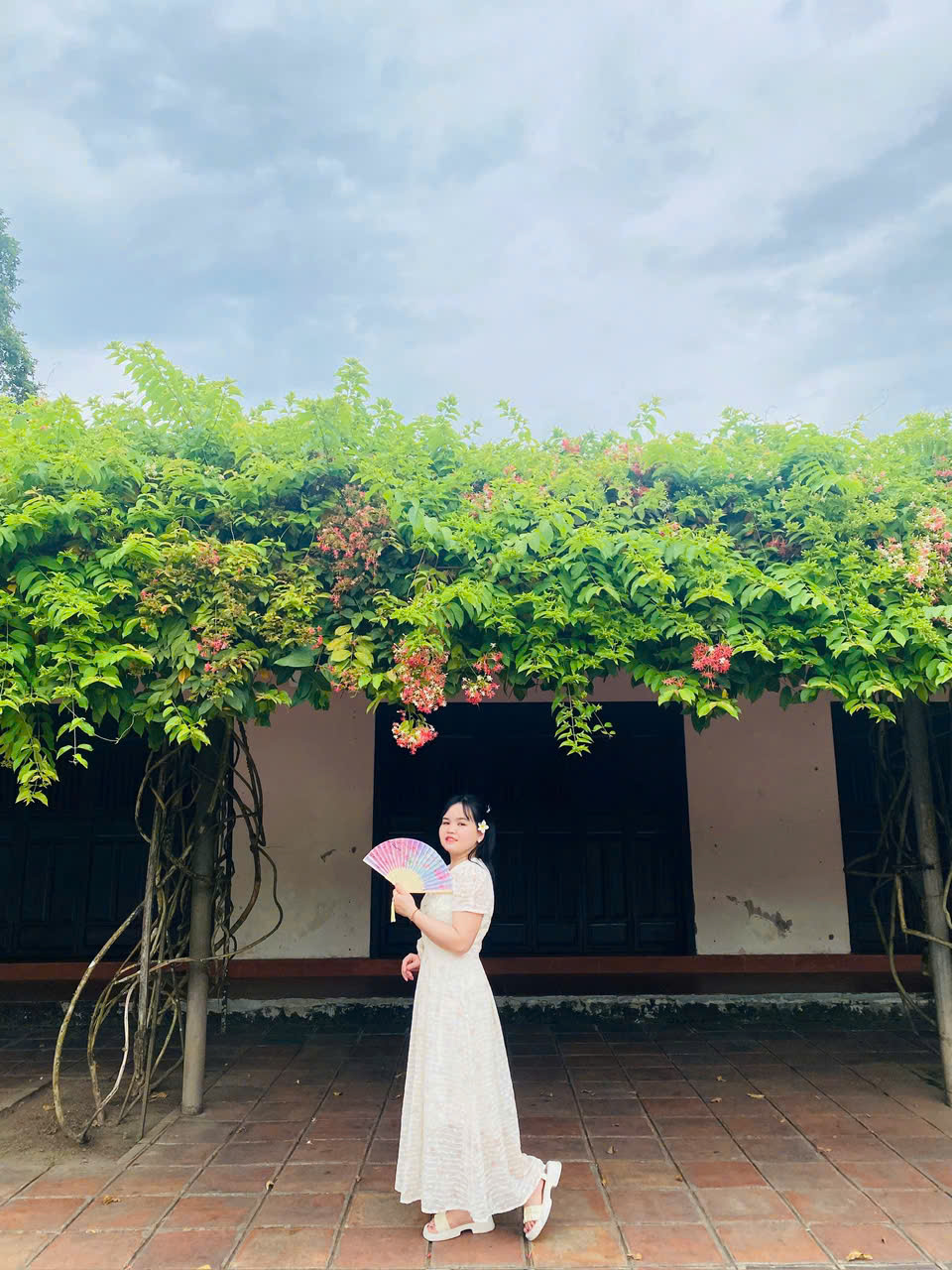 Dương Thị Như Ngọc