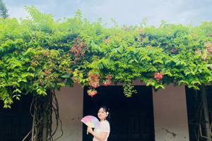 Dương Thị Như Ngọc